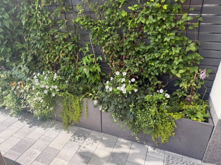 Donica betonowa Forma 100/40, 100 × 40 × 40 cm – zdjęcie 8