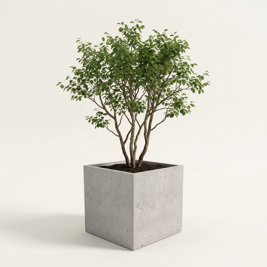 Donica betonowa Cubo 100, 100x100x100 cm – zdjęcie główne produktu