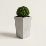 Torre 60