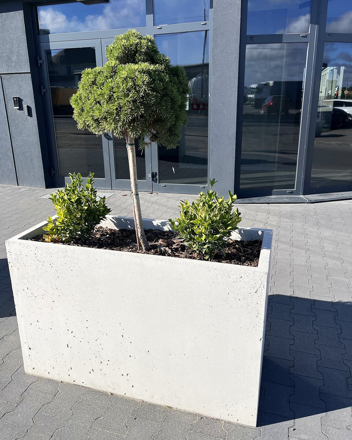 Donica betonowa Forma 120/75 przy wejściu do biurowca – realizacja