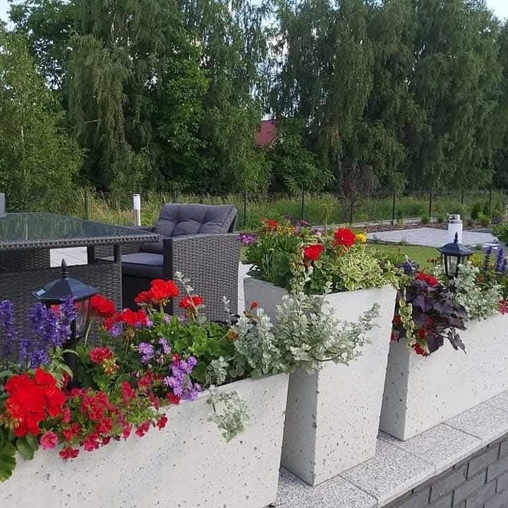 1000024941.jpg