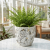 Albero white Osłonka kwiaty A (id: 3445)