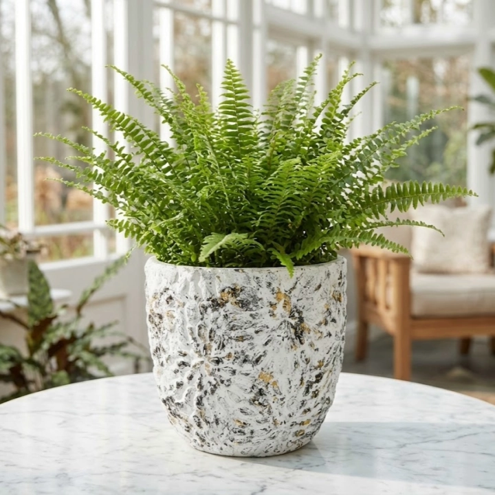 Albero white Osłonka kwiaty A (id: 3445)