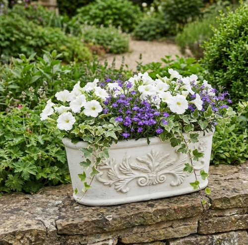 image (41).png