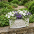 image (41).png