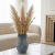 image (43).png