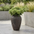image (52).png