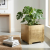 image (61).png