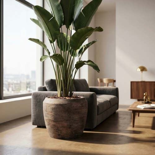 image (95).png