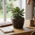 image (97).png