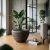image (99).png