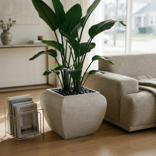 image - 2026-03-12T175645.420.png