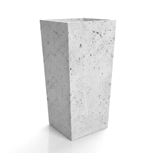 1000035425.png