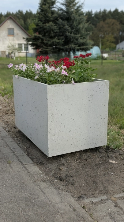 1000038091.jpg