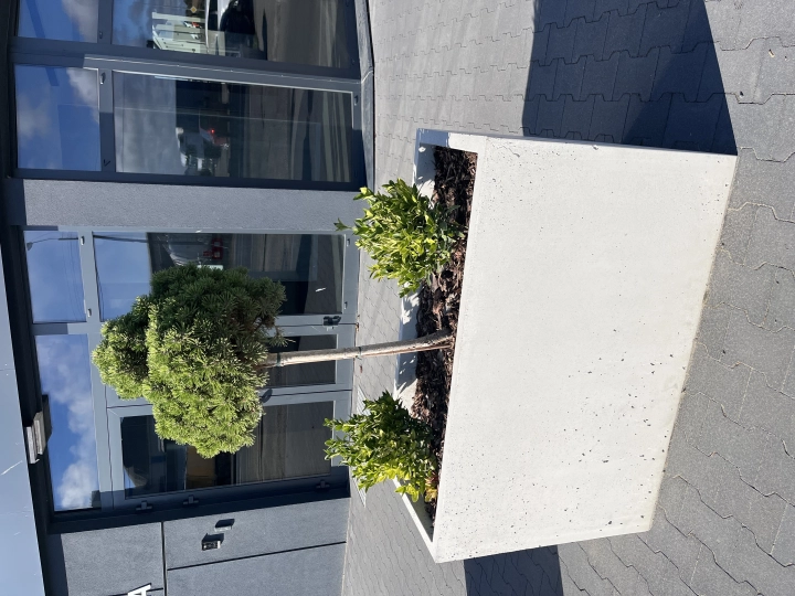 1000044261.jpg